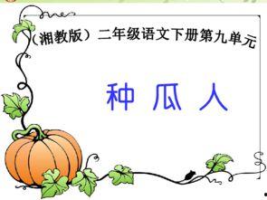 ppt吃瓜合集,揭秘职场那些“瓜”  第3张
