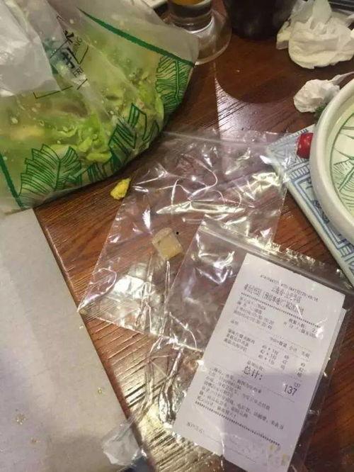 创口贴吃瓜,一场意外的吃瓜之旅  第3张