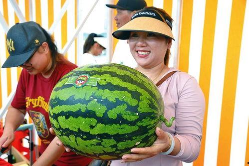 乐趣吃瓜,跟随乐趣吃瓜，畅游美食世界  第2张