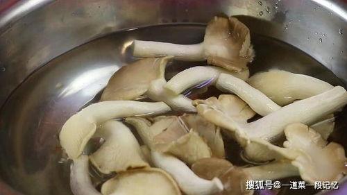 龙瓜菇怎么吃,探索美味与营养的完美结合  第2张
