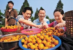 南充吃瓜爆料,揭秘当地热点事件背后的真相  第3张