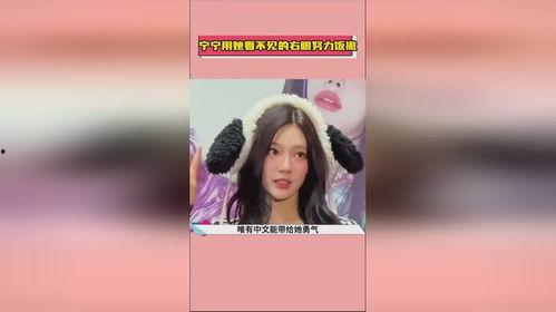 吃瓜宁宁,揭秘娱乐圈背后的那些事儿