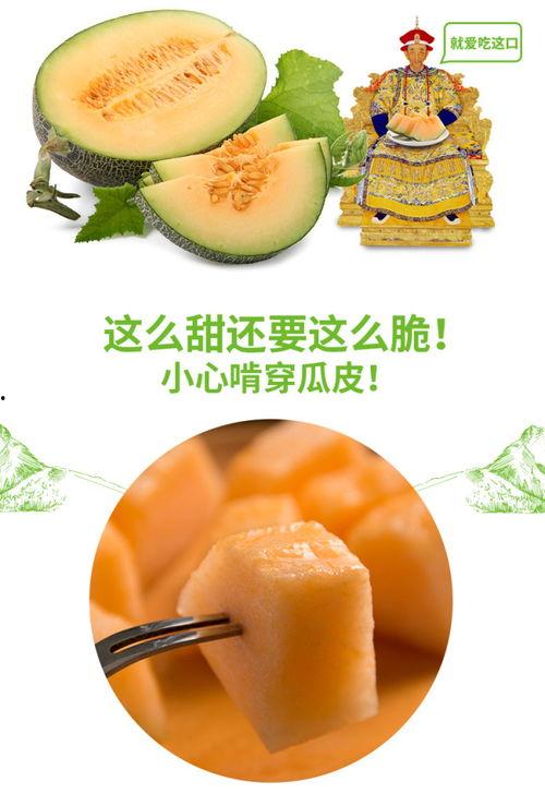 蜗牛吃蜜瓜么,揭秘蜗牛吃蜜瓜的奇妙现象  第3张