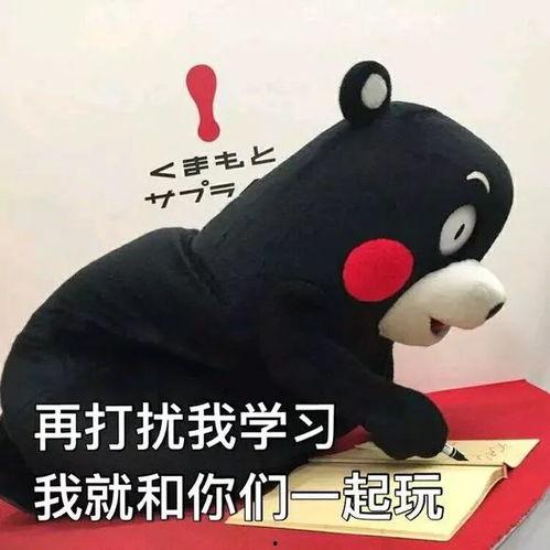 吃瓜不忘学习表情,揭秘“吃瓜不忘学习”的智慧人生  第3张