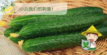 种瓜吃瓜小分队  第2张