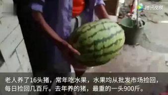 吃瓜了吗视频  第2张