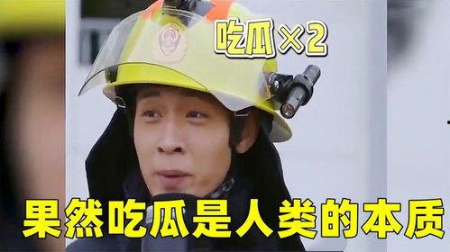 吃瓜群194423,一场网络热议背后的故事  第2张