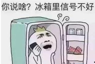 搞笑吃瓜认错人,一场荒诞的喜剧之旅  第3张