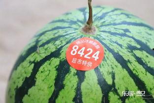 100个吃瓜视频  第3张