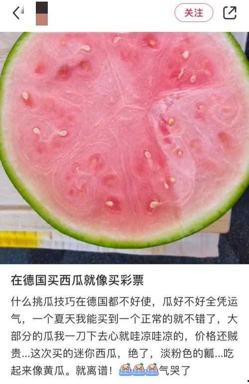 吃瓜的人图片大全  第3张
