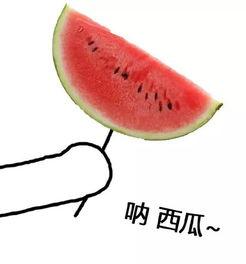 吃货大飞吃瓜切菜,吃瓜切菜，美食探索之旅  第2张