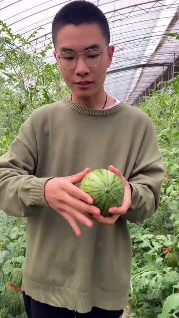 带你吃瓜树扒皮,吃瓜树扒皮背后的真相与内幕 第3张 带你吃瓜树扒皮,吃瓜树扒皮背后的真相与内幕 第3张