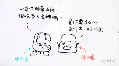 脾虚的人吃瓜,揭秘瓜类对脾胃的影响  第3张